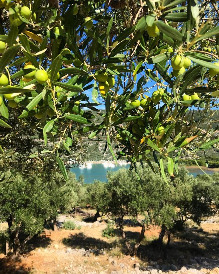 Apartment Dolores Cres Dış mekan fotoğraf